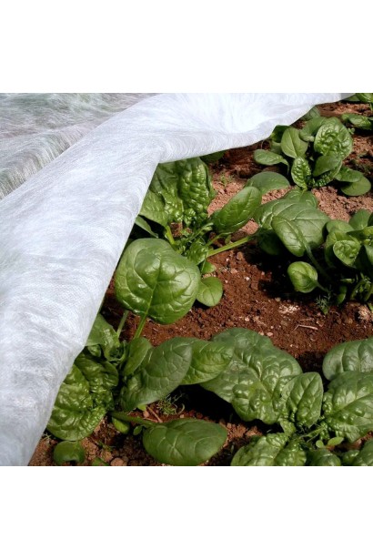 Агроволокно біле на городі